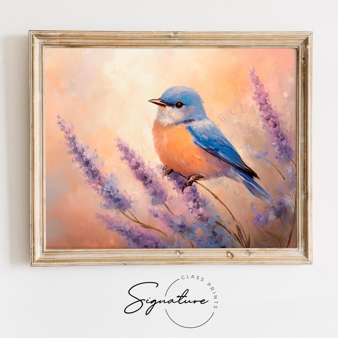 Sweet Bluebird Resting On Lavender Buds In Sunset Glow Poster