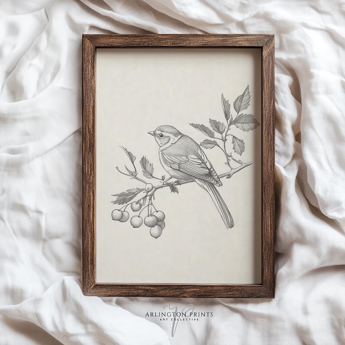 Neutral Bird Sketch Songbird Berry Branch Farmhouse Wall Art