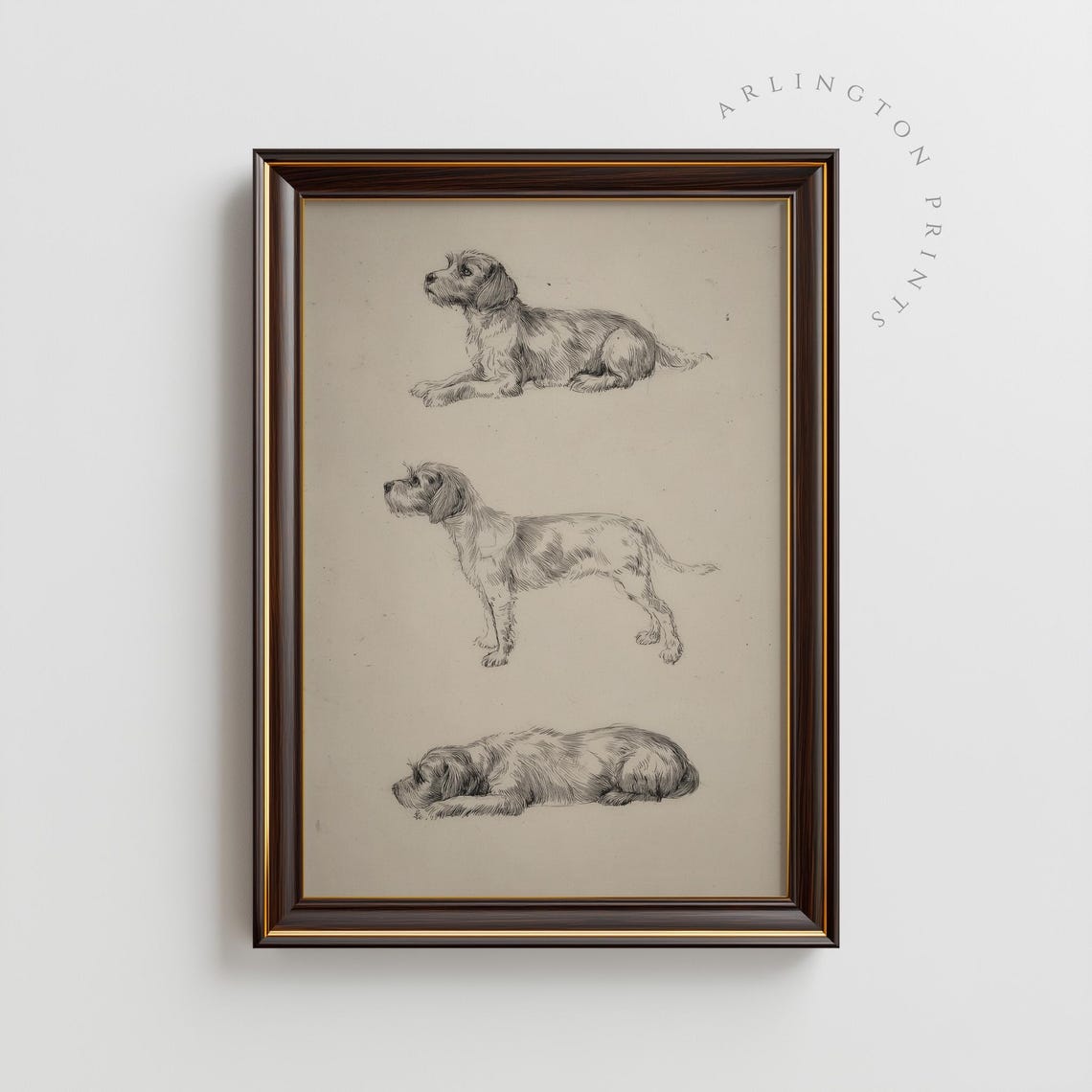 Rustic Dog Etching Trio Vintage Terrier Study Farmhouse Poster