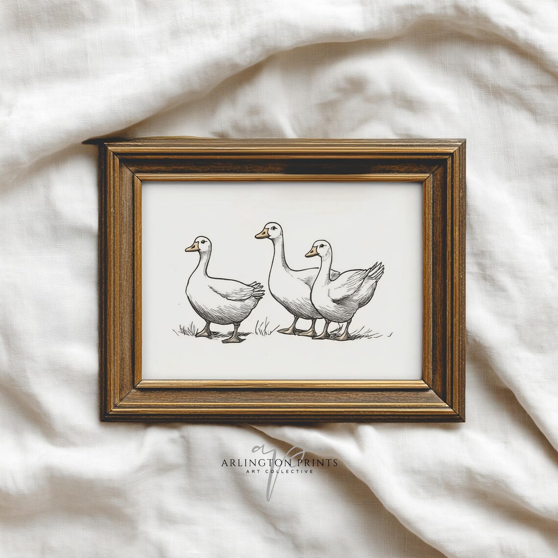 Three White Geese Vintage Sketch Farmhouse Nursery Country Animal Poster