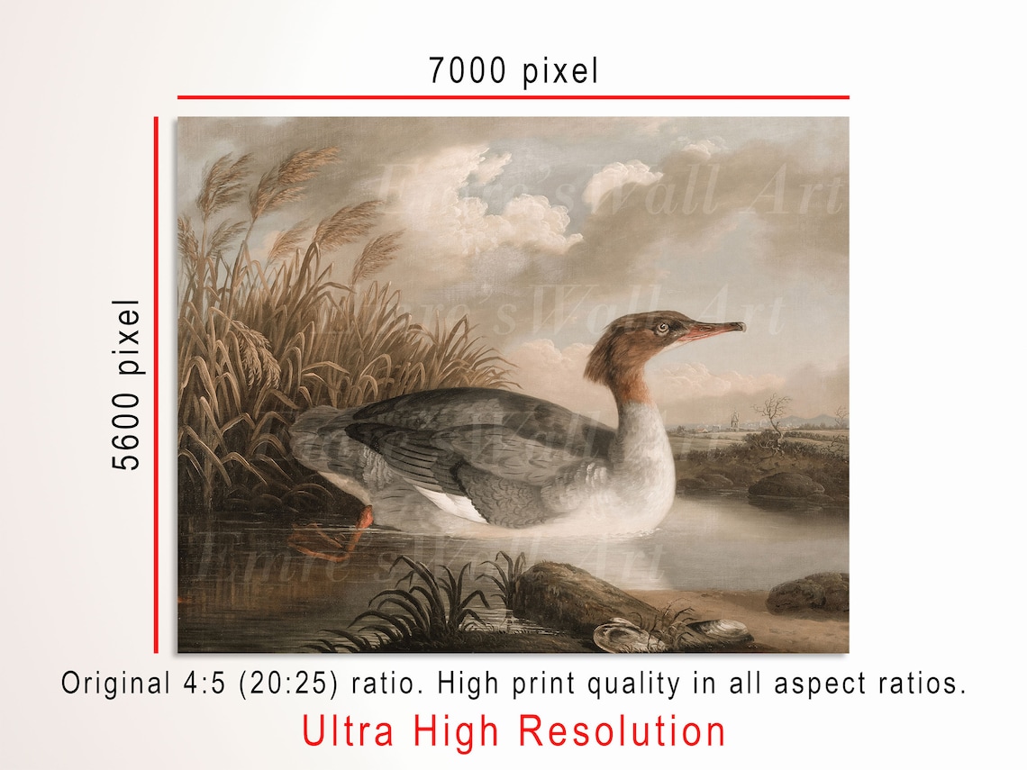 Female Merganser Duck Marsh Vintage Wildlife Painting Poster - Image 3