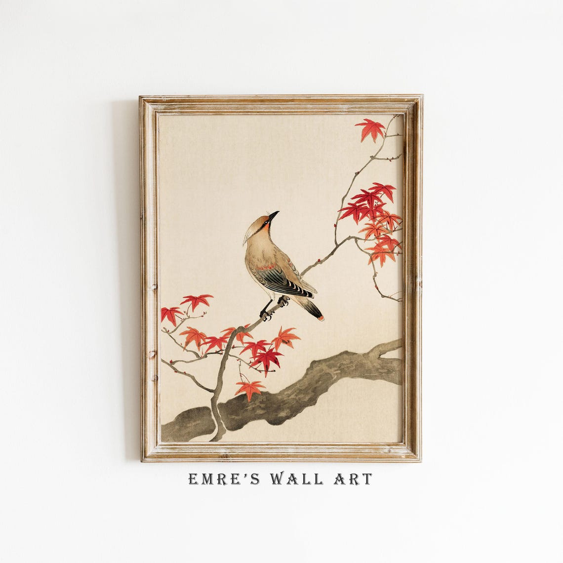 Waxwing Bird Perched on Red Maple Branch Japanese Art Poster