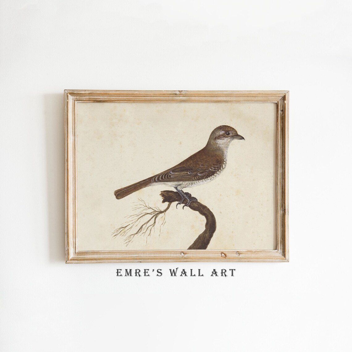 Antique Brown Bird Painting Vintage Songbird Branch Botanical Poster