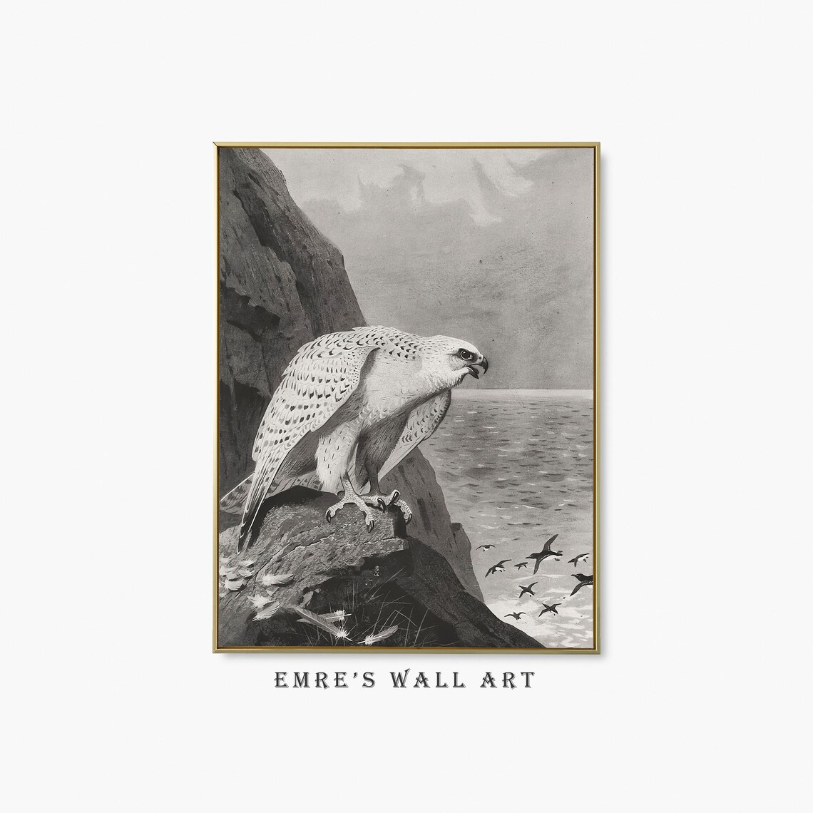 Falcon Vintage Bird Sketch Art Print