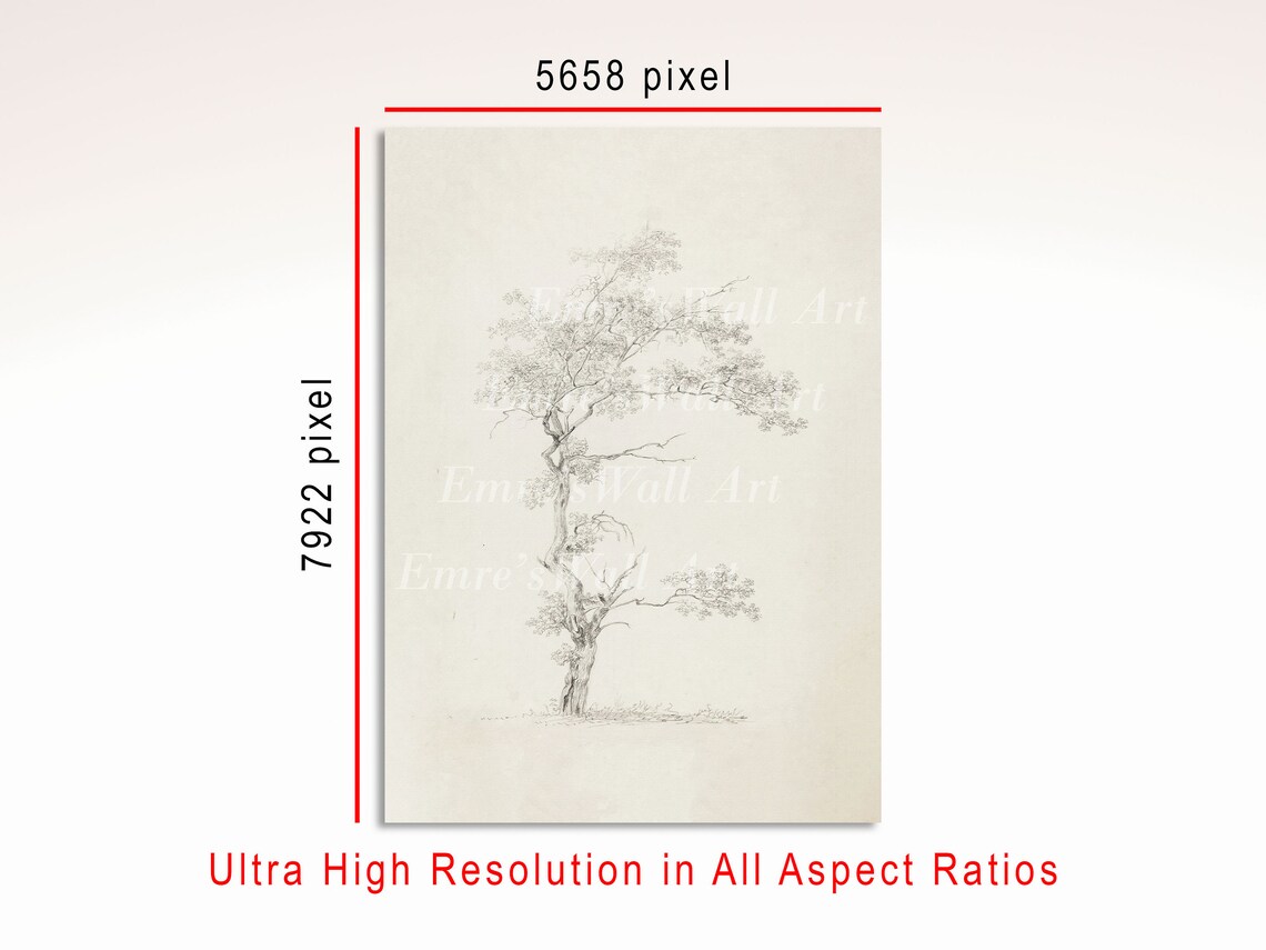 Vintage Tree Sketch Art Print, Neutral Farmhouse Decor - Image 3