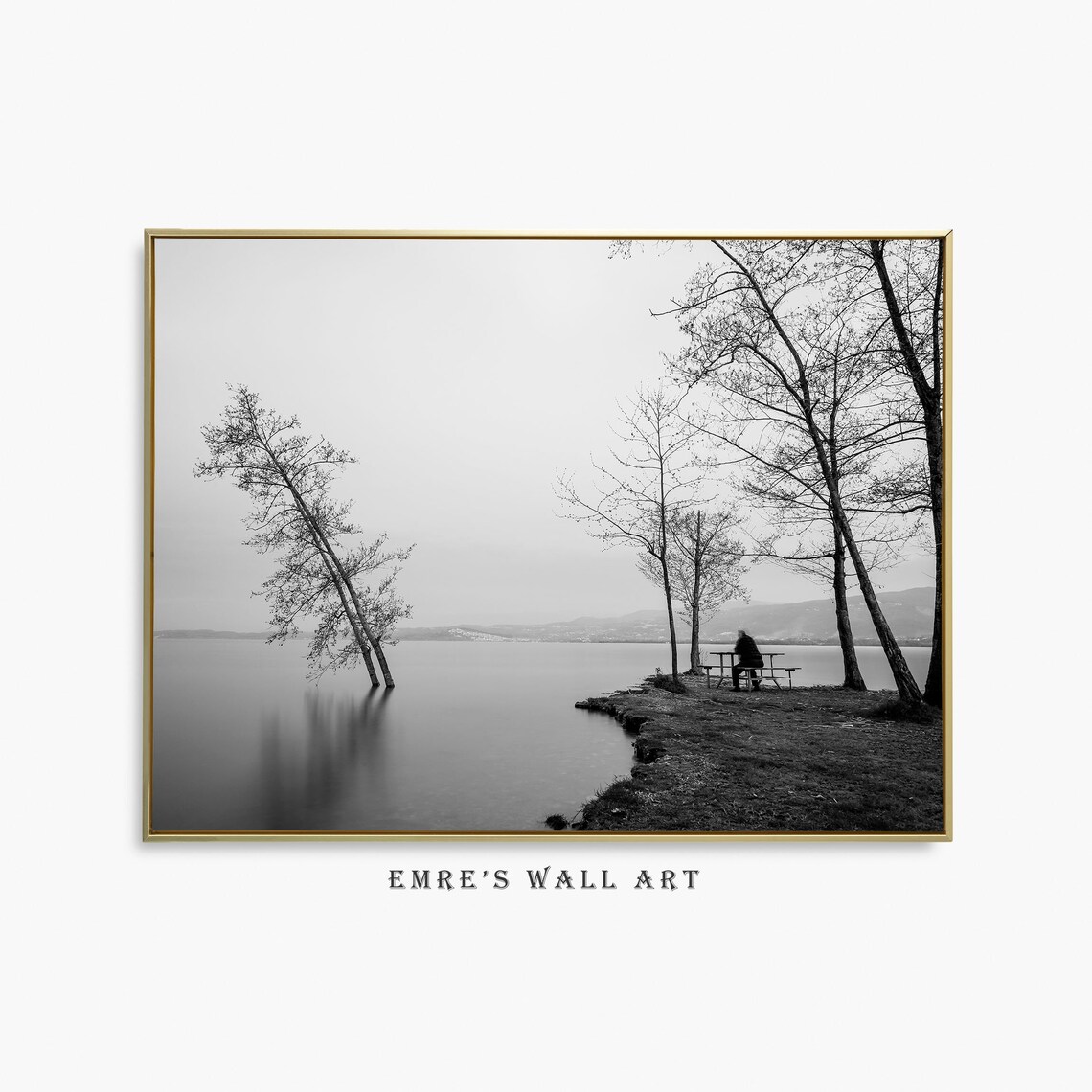 Black and White Lake Shore Solitude Monochrome Photo Artwork Poster