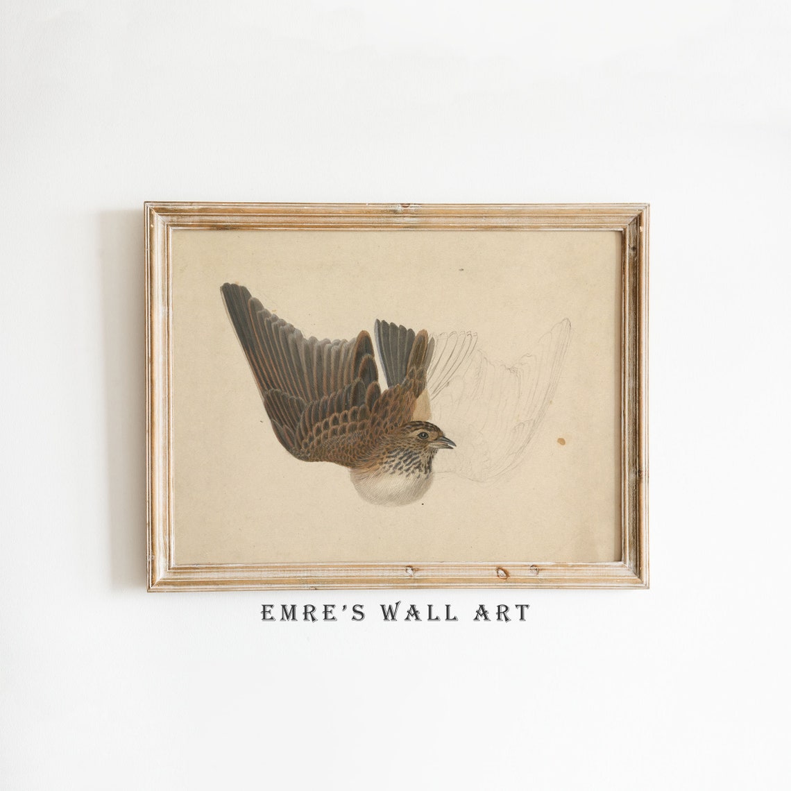 Bird Sketch Art Print Vintage Country Bird Print Neutral Farmhouse Wall Decor Vintage Farmhouse Bird Print Antique Sketch Drawing Art