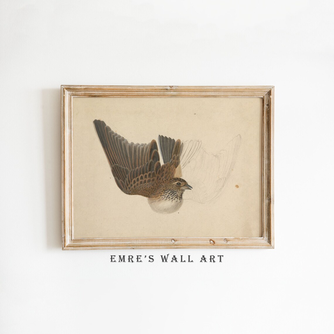 Flying Songbird Sketch Vintage Bird Study Neutral Tones Wall Art