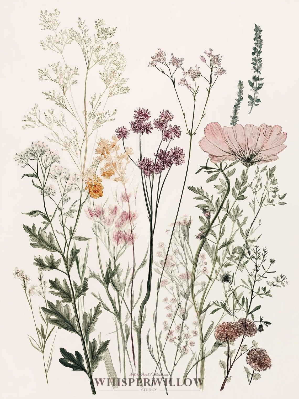 Pressed Wildflower Botanical Study Cream Neutral Vintage Poster - Image 6