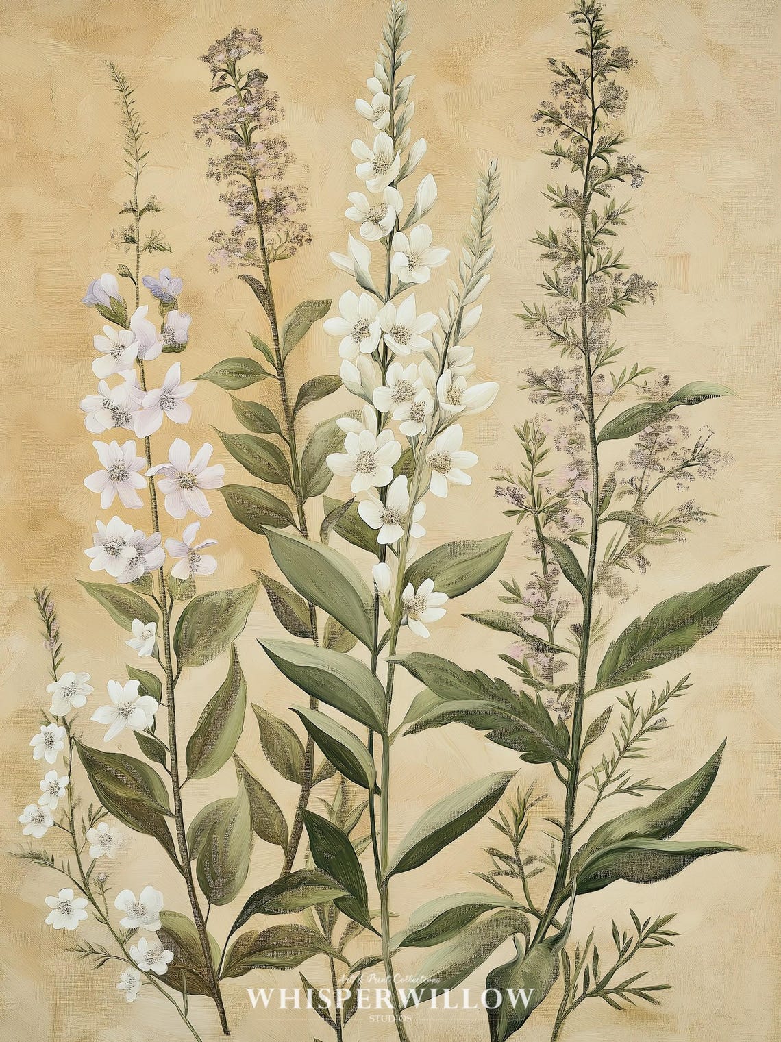 White Wildflower Botanical Illustration on Aged Paper Poster - Image 6