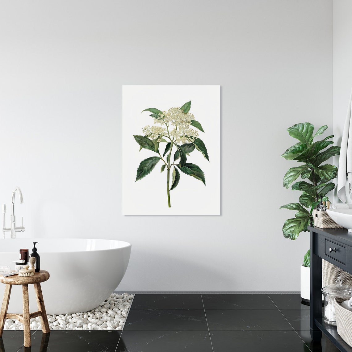 White Elderflower Vintage Botanical Illustration Antique Style Poster - Image 3