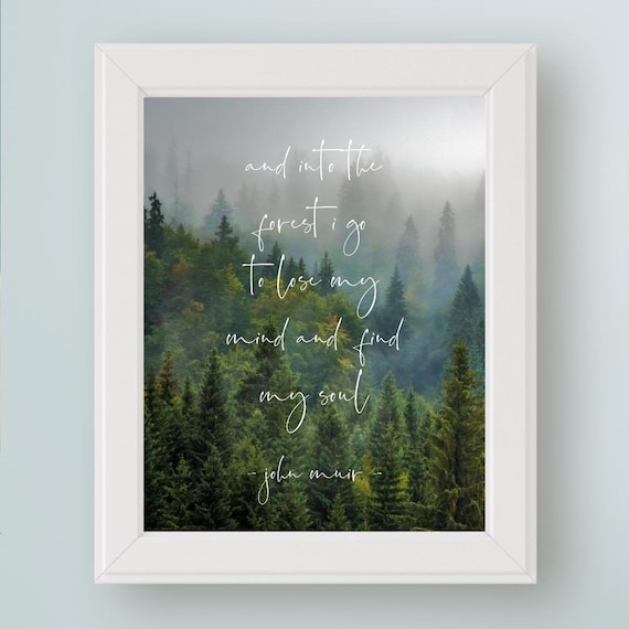 John Muir Quote, And Into The Forest I Go Art Print