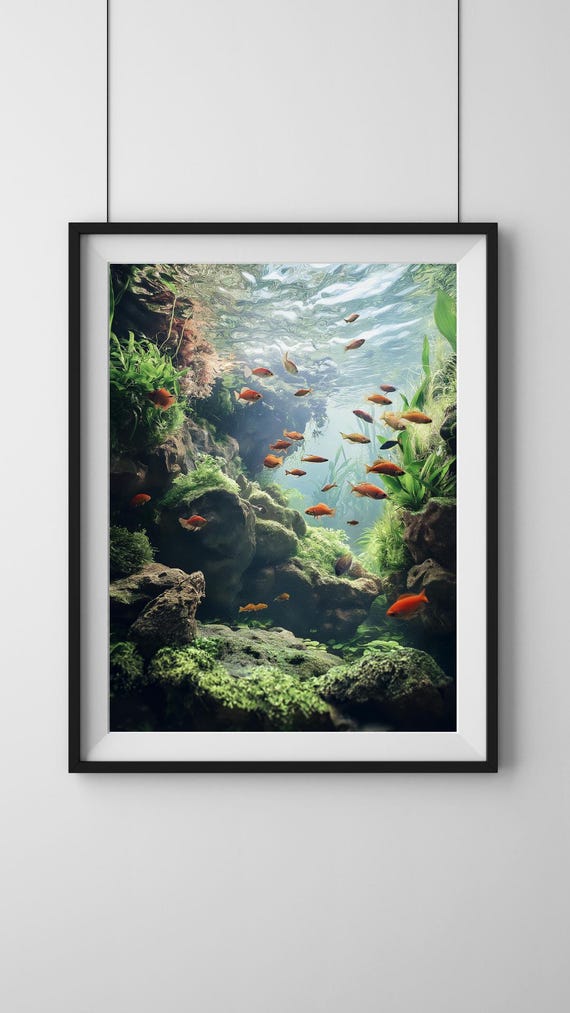 Fish Poster Underwater Print Ocean Art Colourful Fish Wall Art Sealife Poster Gift Idea Diving Art Bathroom Wall Art