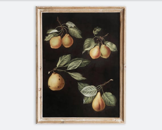 European Vintage Pears Still Life Wall Art Print Rustic Dark Moody Oil Painting Fruits Poster Antique Country Farmhouse Kitchen Vp259
