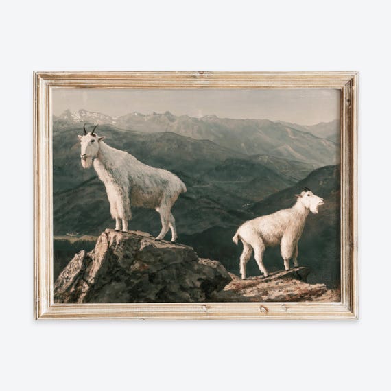 European Vintage Mountain Goats Animal Portrait Neutral Painting Wall Art Print Rustic Moody Farmhouse Antique Nature Poster Vp257