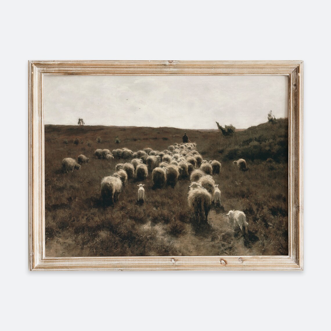 European Vintage Sheeps Lambs On Field Animal Portrait Neutral Painting Wall Art Print Rustic Dark Farmhouse Antique Nature Poster Vp99