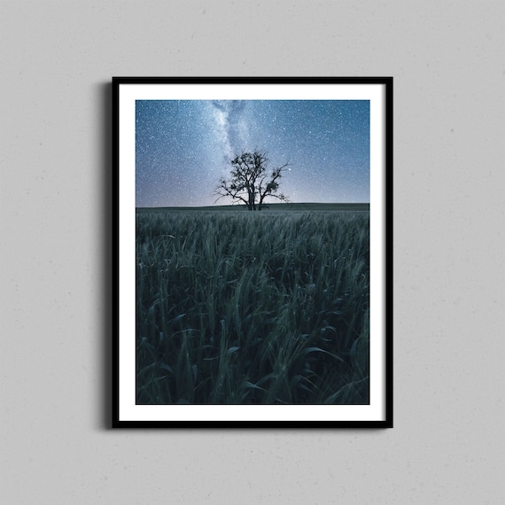 Lone Tree in Wheat Field Under Milky Way Starry Night Landscape Photo Poster