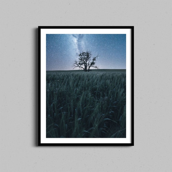 Minimal Wall Art Solo Tree Fine Photography Print Night Stars Celestial Photograph Nature And Landscape Farmhouse Home Decor