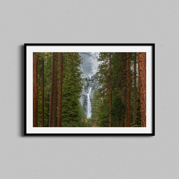 Yosemite Falls Through Tall Pine Forest Waterfall Photo Poster