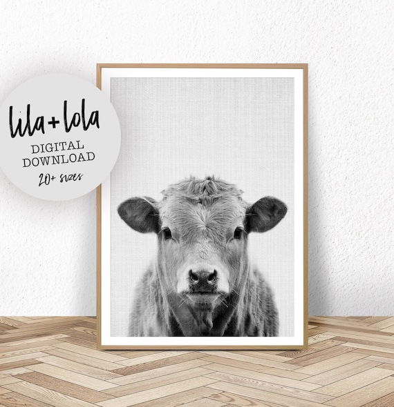 Cow Print Farmhouse Nursery Animal Poster
