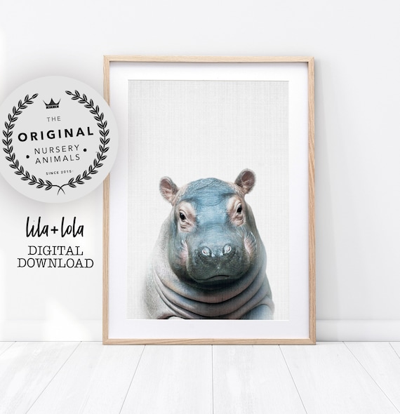 Hippo Nursery Art Print, Baby Animal Safari Decor