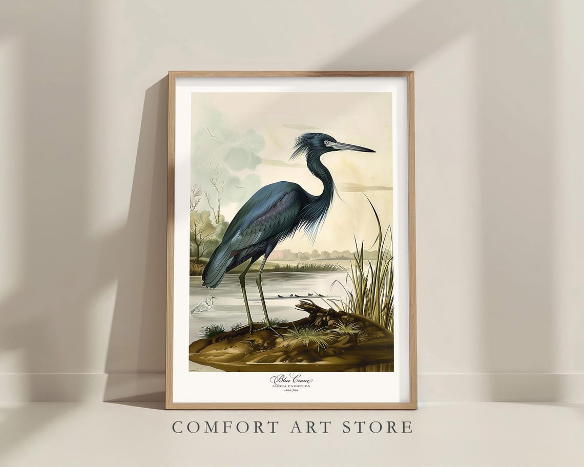 Blue Crane Heron in the Marsh Vintage Audubon Bird Art Poster - Image 5