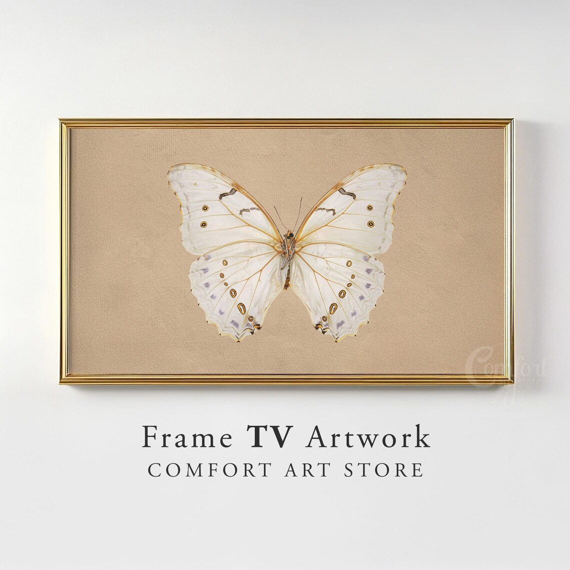 White Butterfly Specimen Vintage Entomology Frame TV Art Nature Poster - Image 4