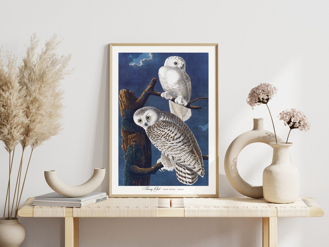 Classic Audubon Long Eared Owl Vintage Bird Illustration Print - Image 3