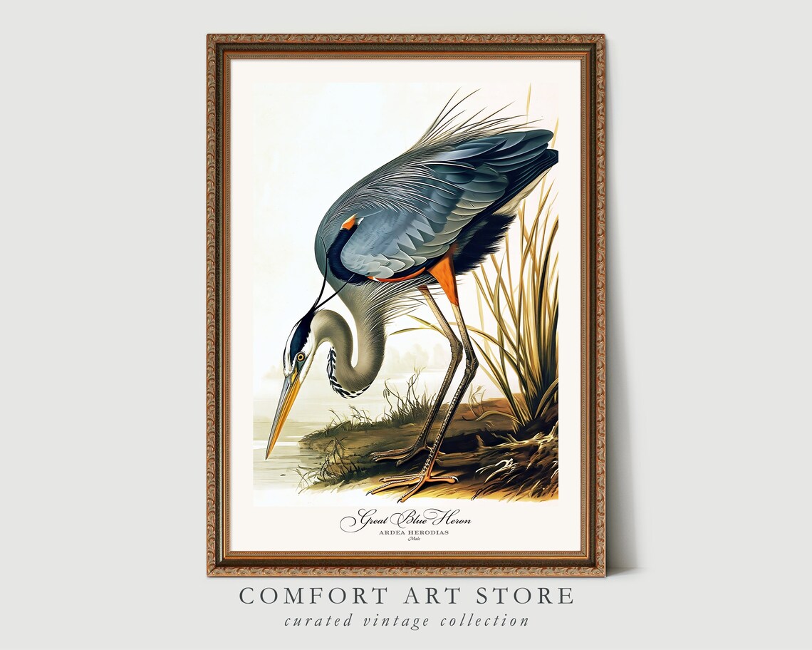 Audubon Style Bird Print Set, Vintage Wildlife Poster