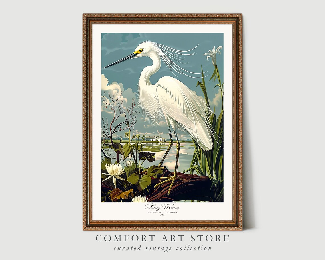 Audubon Style Snowy Heron Vintage Bird Art Print - Image 5