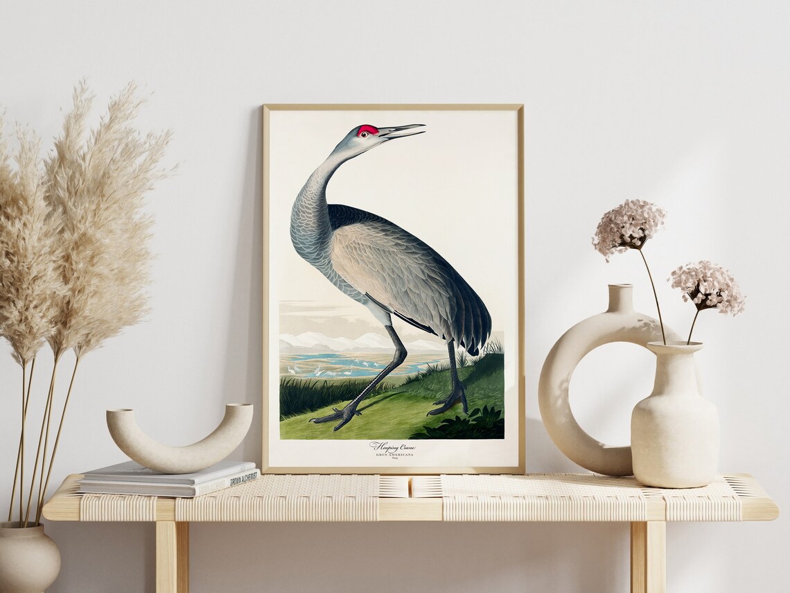 Audubon Bird Print Set, Vintage Retro Art Print - Image 6