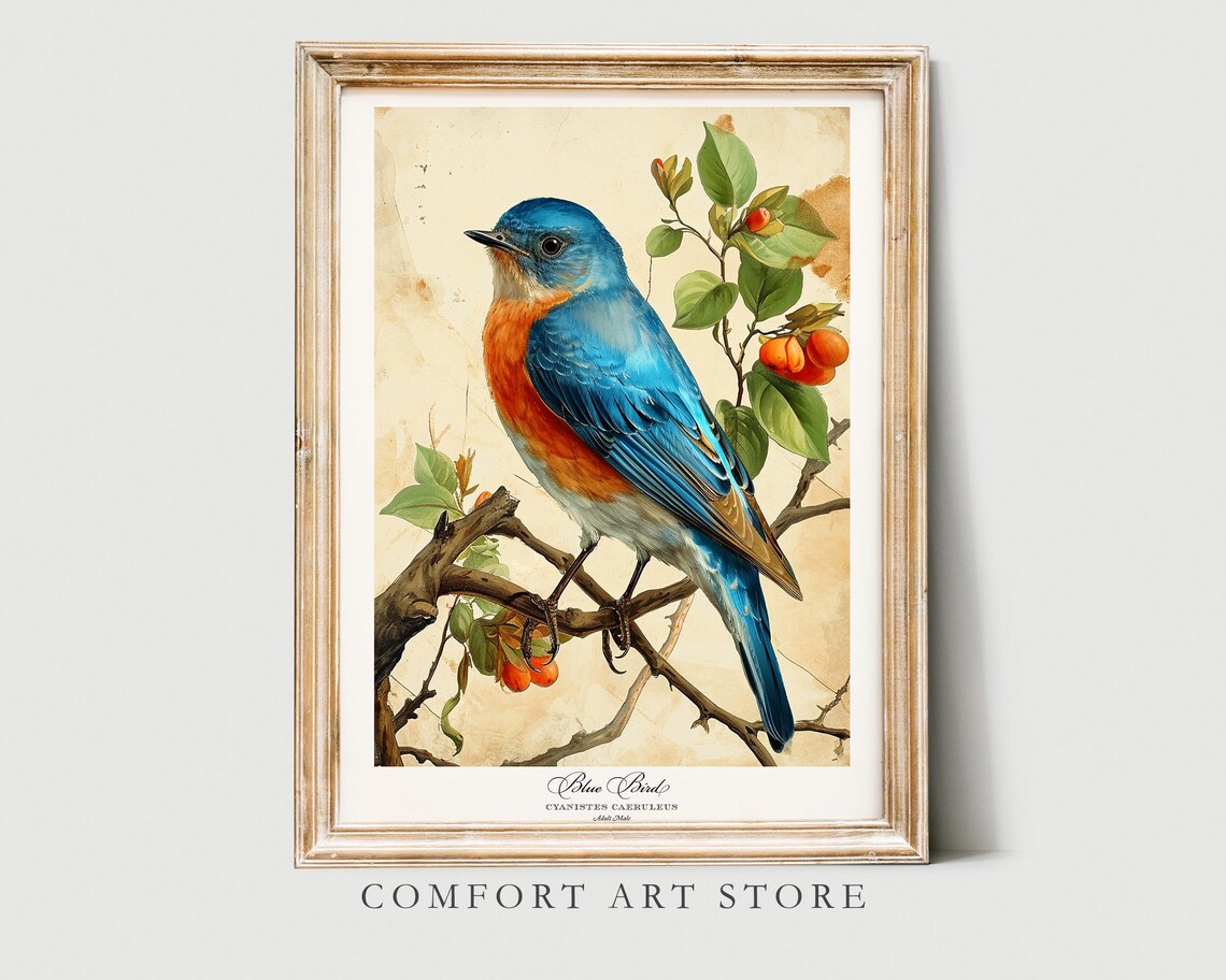 Audubon Style Bird Print, Vintage Nature Poster