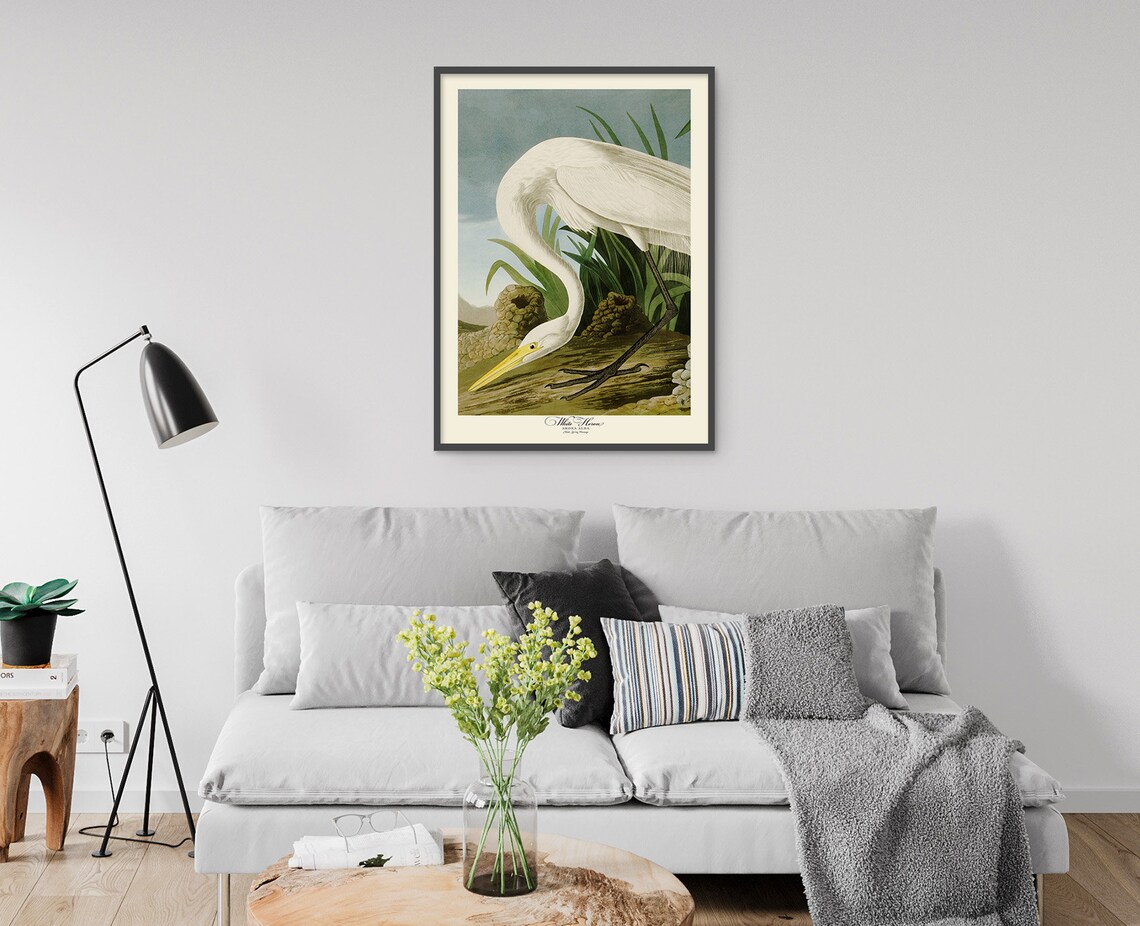Audubon White Heron Vintage Retro Art Print Set - Image 3
