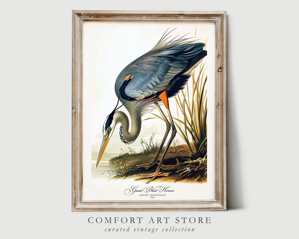 Great Blue Heron Vintage Nature Poster Print