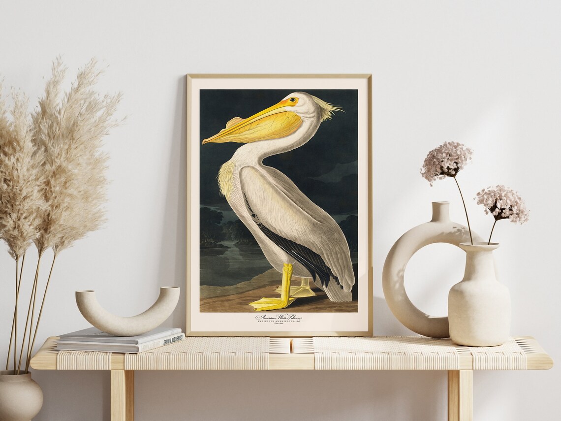 Audubon Bird Print Set, Vintage Retro Art Print - Image 7