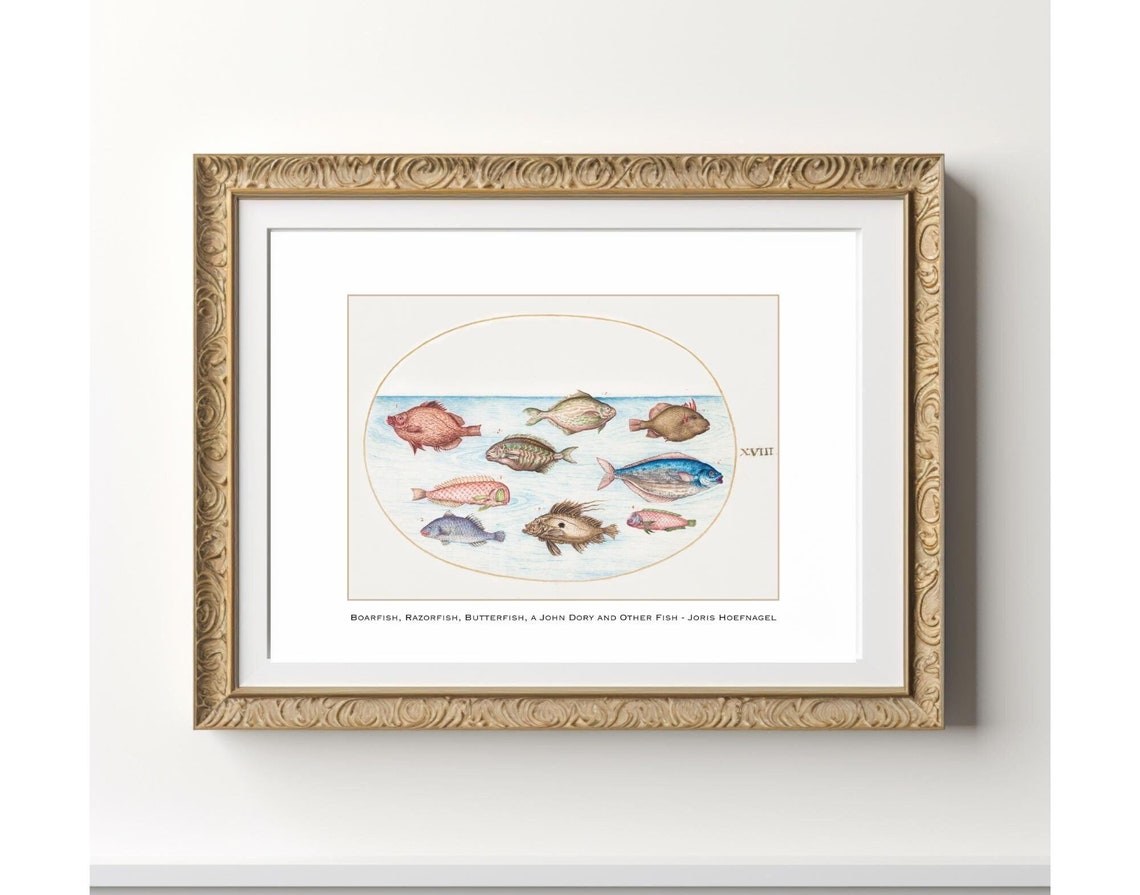 Fish Art Vintage Fisherman Painting, Sea Life