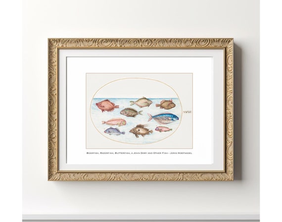 Fish Art Vintage Fisherman Painting, Sea Life