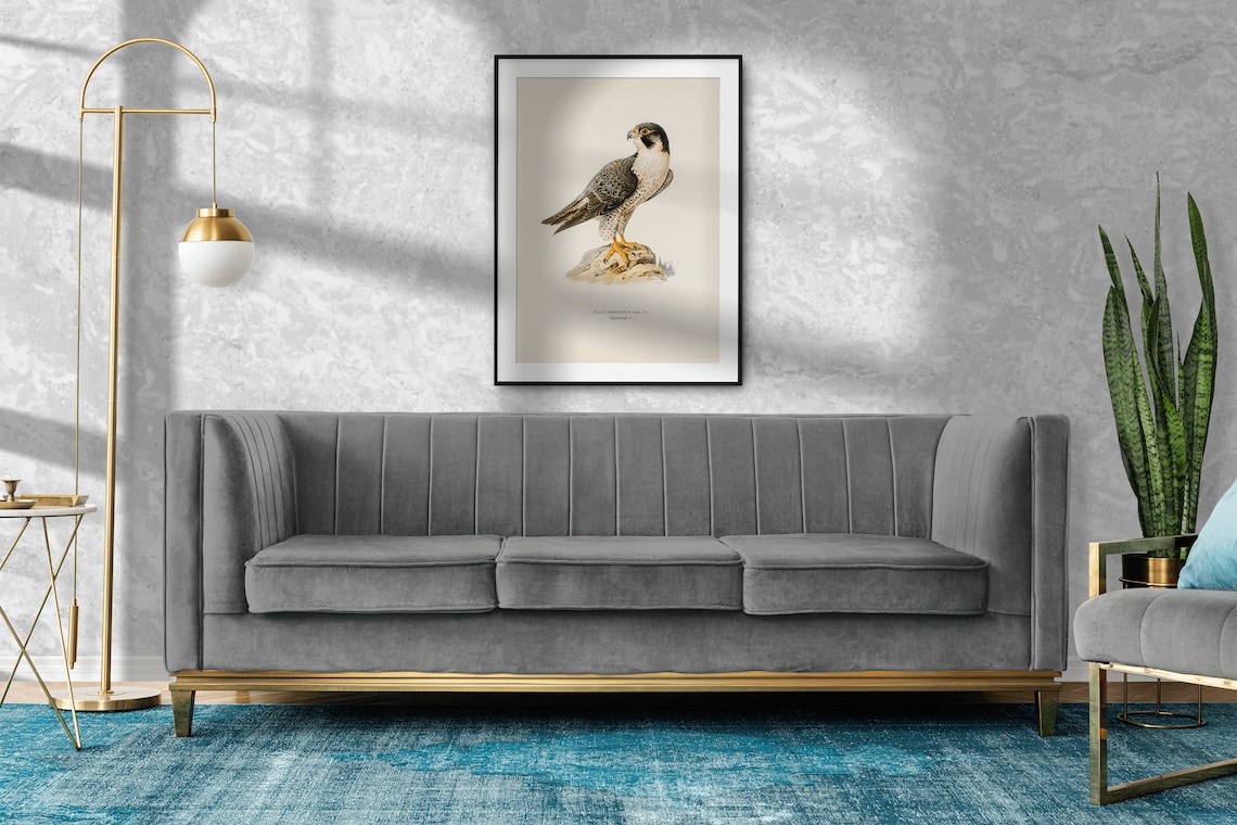 Peregrine Falcon Vintage Nature Art Print - Image 2