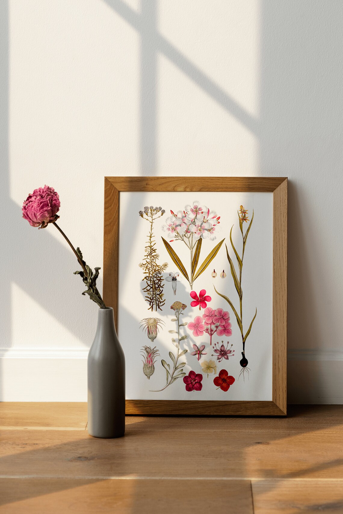 Pink Wildflower Botanical Anatomy Chart Vintage Scientific Wall Poster - Image 4