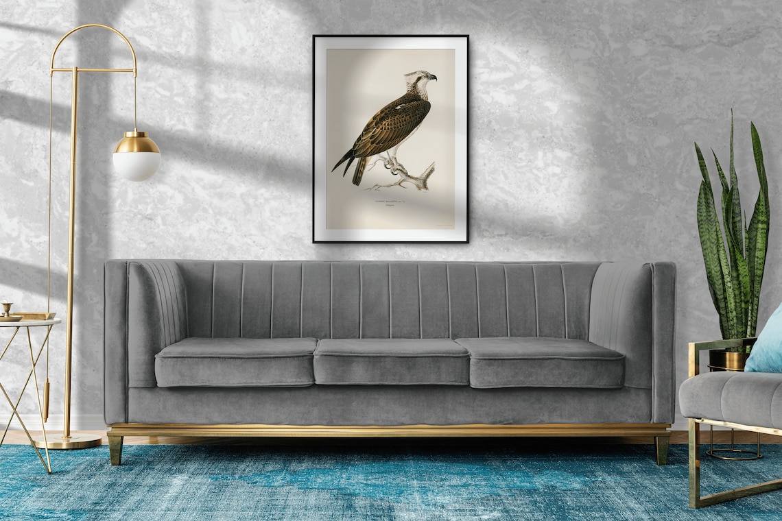 Osprey Bird Of Prey Vintage Nature Art Print - Image 2