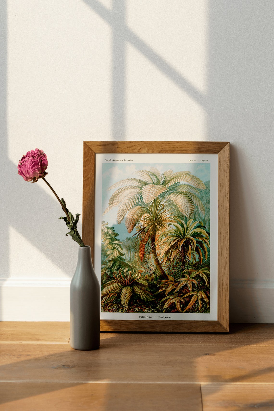 Ernst Haeckel Tree Fern Kunstformen Der Natur Botanical Art Print - Image 3