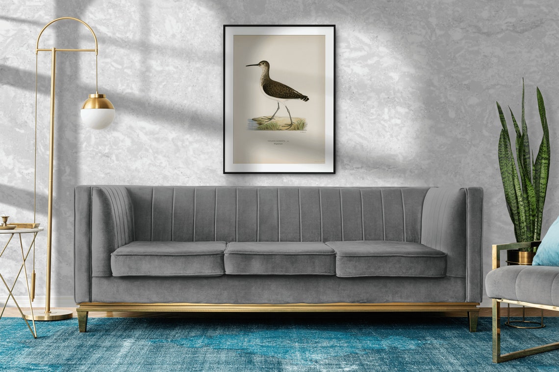 Green Sandpiper Totanus Ochropus Vintage Bird Illustration Poster - Image 2