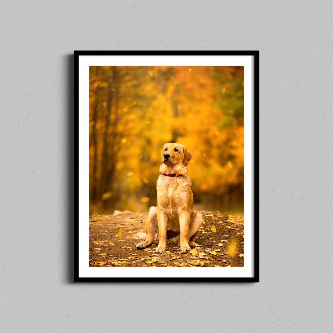 Golden Retriever Autumn Leaves Fall Portrait Dog Photo Poster