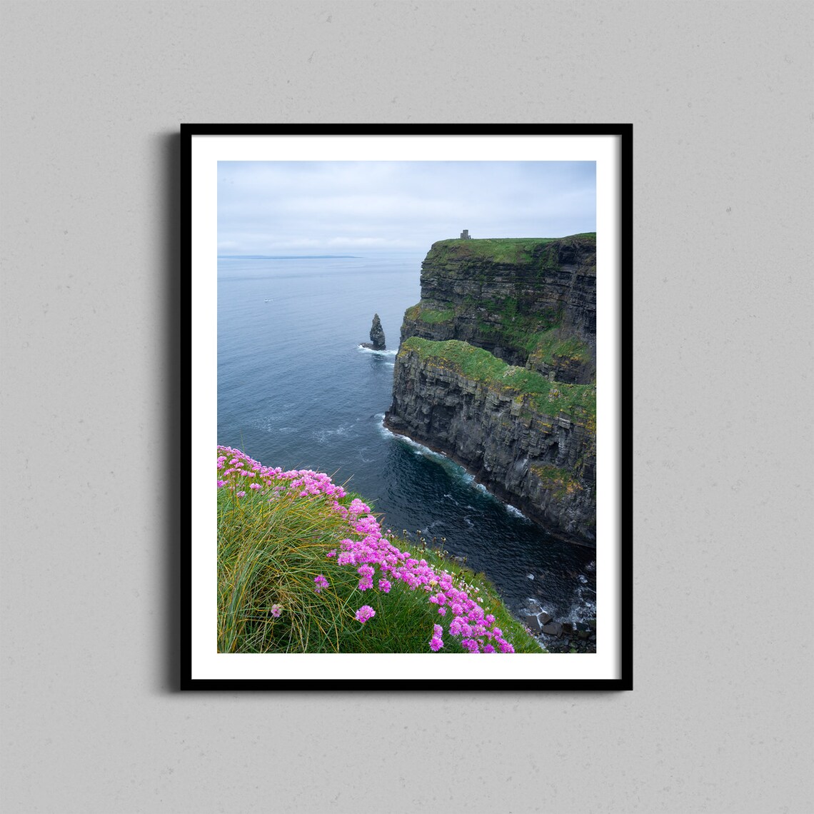 Cliffs Of Moher Ireland Pink Wildflowers Coastal Photography Poster