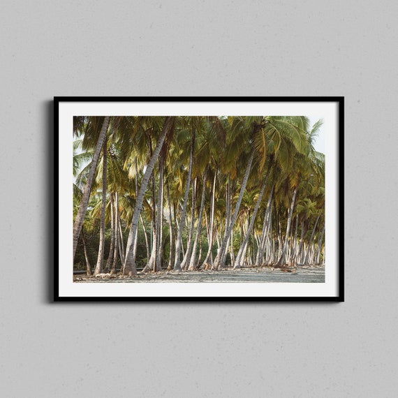 Beach Palm Trees Framed Photography Wall Art Print Costa Rica Tropical Photo Ocean Lifestyle Cozy Housewarming Home Decor