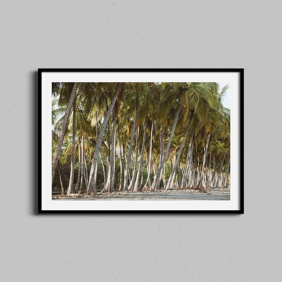 Tropical Leaning Palm Trees Beach Coconut Grove Nature Poster