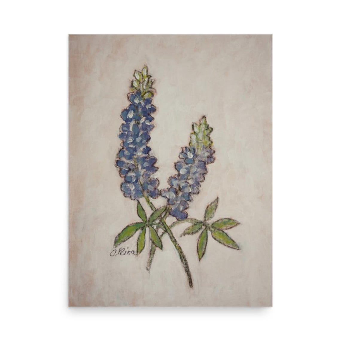 Two Bluebonnet Stems Botanical Wildflower Painting Art Poster - Image 3