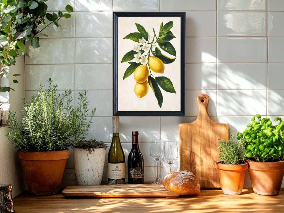 Lemon Tree Branch with White Blossoms Vintage Botanical Kitchen Poster - Image 2
