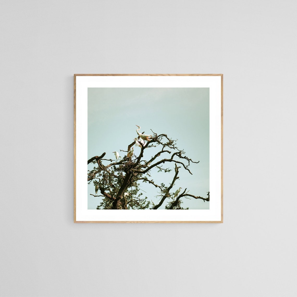 Egret Bird Print, Coastal Nature Photograph