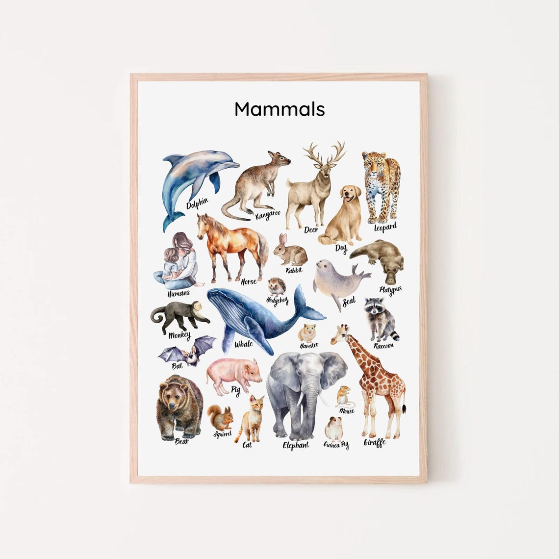 Mammals Educational Chart Watercolor Animals Elephant Whale Poster